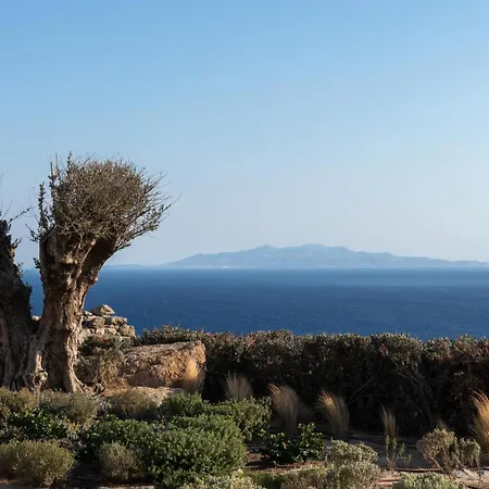 Βίλα Ava Mykonos